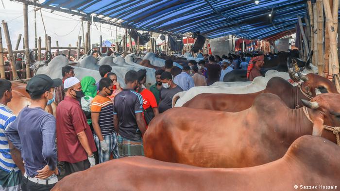 রাজধানীর কোরবানির পশুর হাট এখন জমজমাট