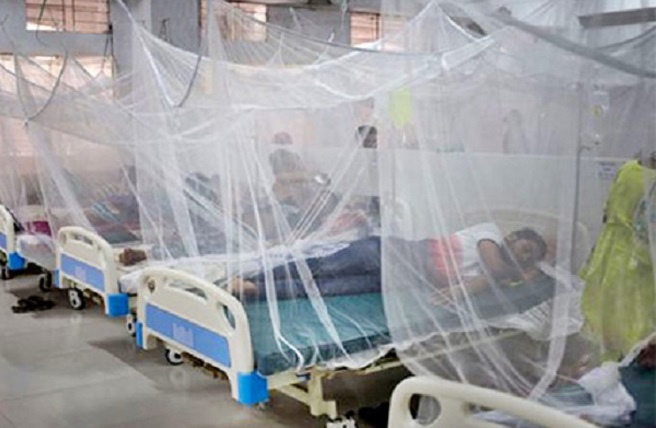 একদিনে রেকর্ড ১০৩৪ ডেঙ্গু রোগী হাসপাতালে