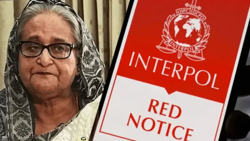 শেখ হাসিনা-জয়-টিউলিপসহ ১০ জনের এনআইডি লক, ১২ জনের বিরুদ্ধে ইন্টারপোল রেড নোটিশের আবেদন